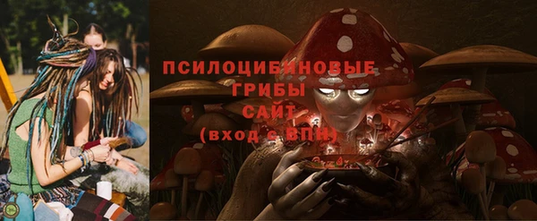 ПСИЛОЦИБИНОВЫЕ ГРИБЫ Абинск