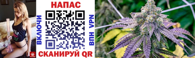 ОМГ ОМГ ссылка Котельнич Шишки марихуана Ganja